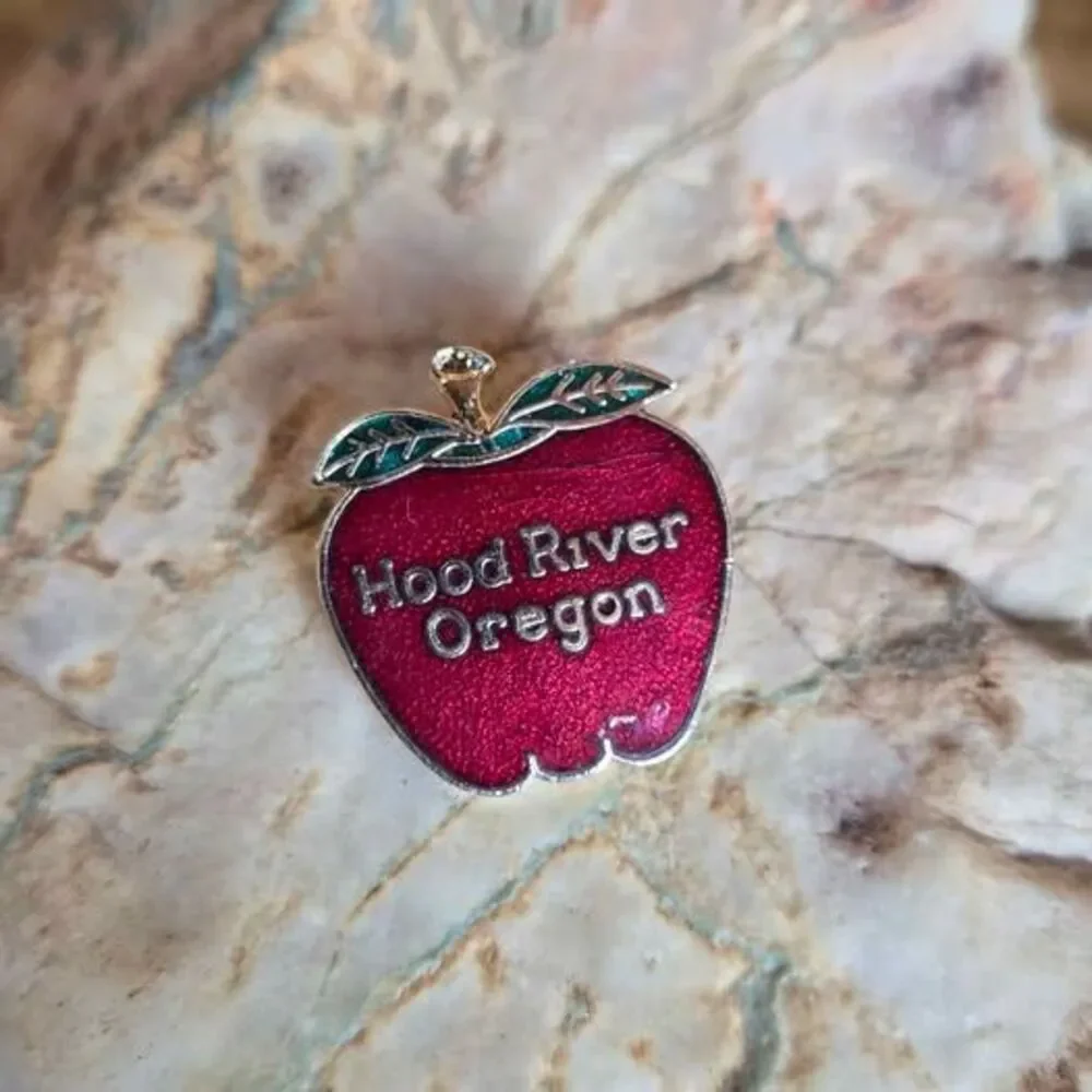 Vintage Hood River Oregon Red Apple Souvenir Brooch Pin Gold Tone Enamel